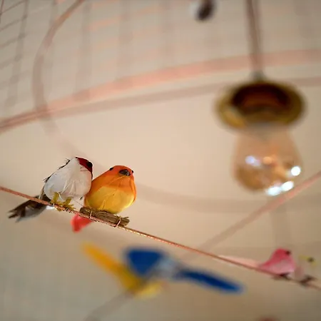 Apolonia Montmartre; Sure Collection By Western