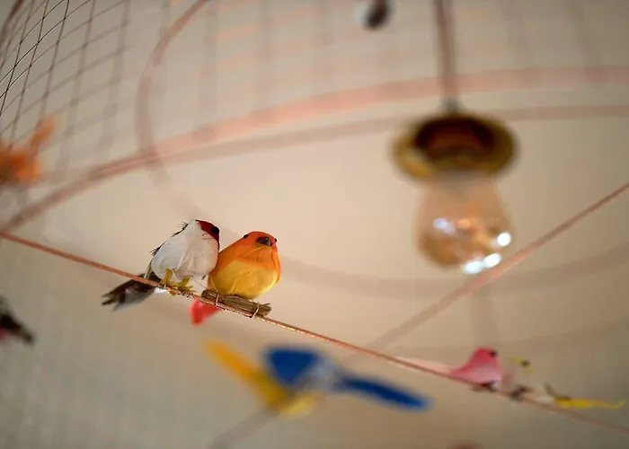 Apolonia Montmartre; Sure Collection By Western